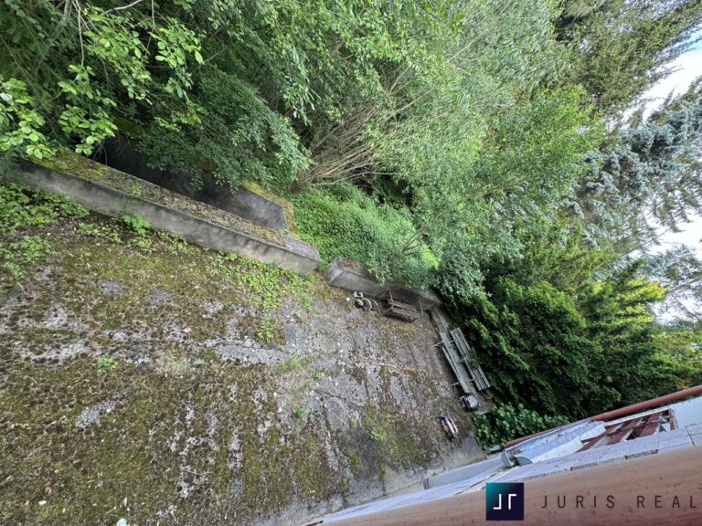 IMG_4003 ve velké velikosti