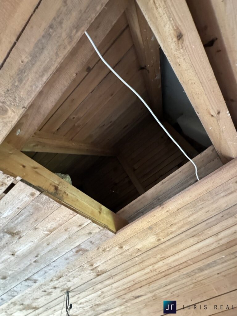 IMG_4020 ve velké velikosti