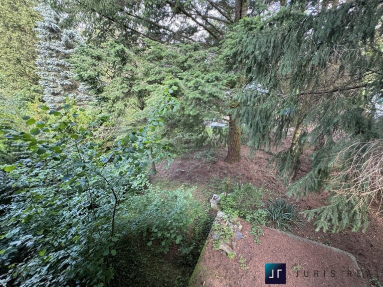 IMG_4022 ve velké velikosti