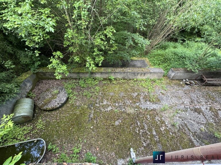 IMG_4002 ve velké velikosti