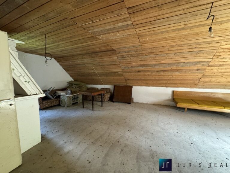 IMG_4018 ve velké velikosti