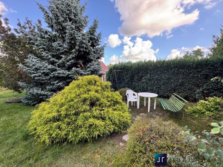 Obrázek WhatsApp, 2025-09-06 v 13.43.26_9acb7db7