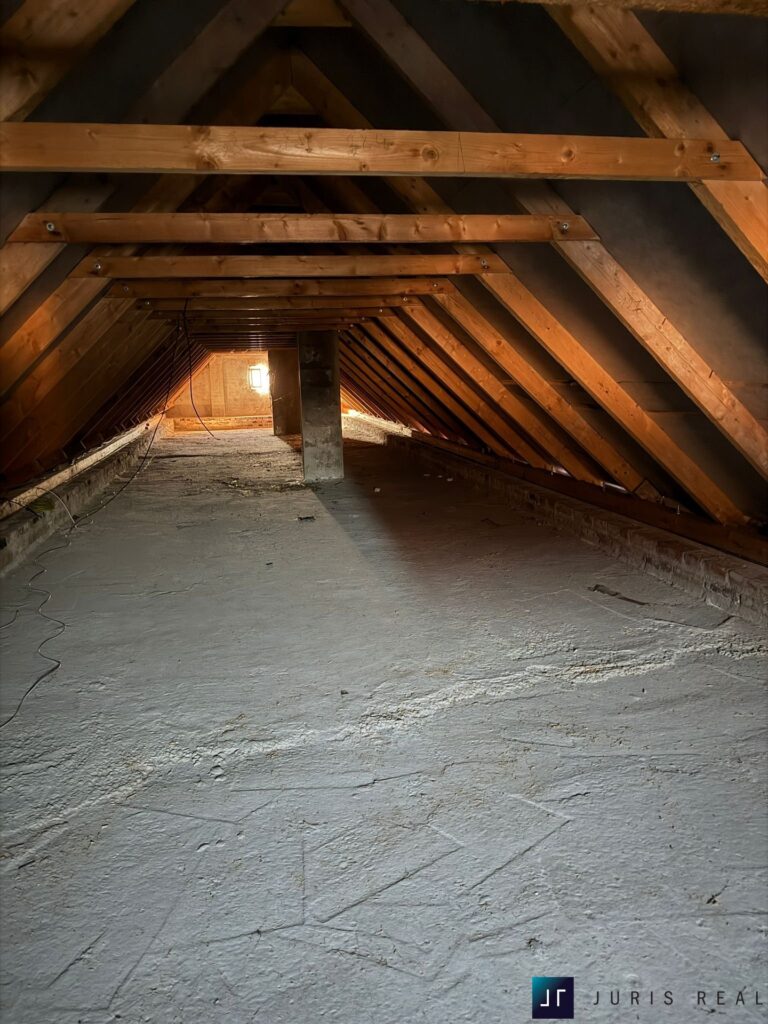 PHOTO-2026-01-21-16-20-28 8