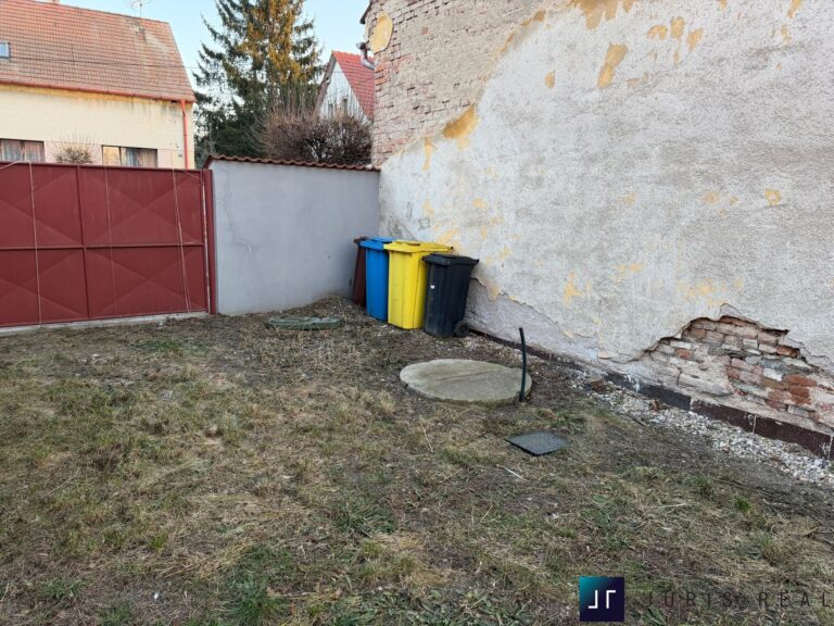 PHOTO-2026-01-21-16-20-28 21