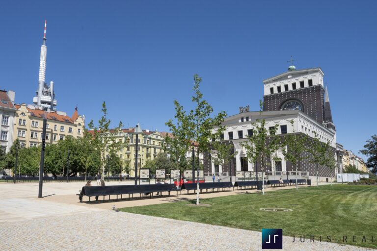 PZ8_6355