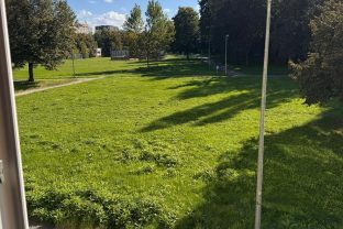 IMG-20250930-WA0035